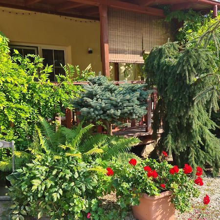 Apartament Malinowa Dolina Клодзько Екстер'єр фото