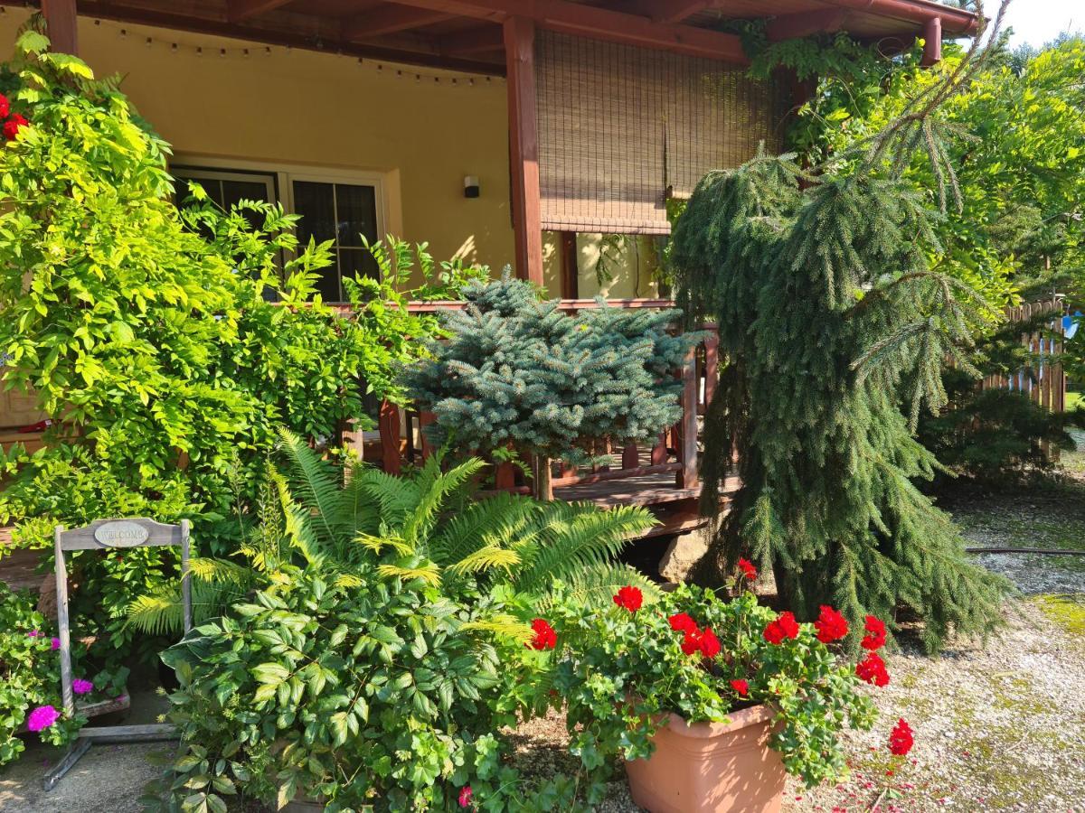Apartament Malinowa Dolina Клодзько Екстер'єр фото