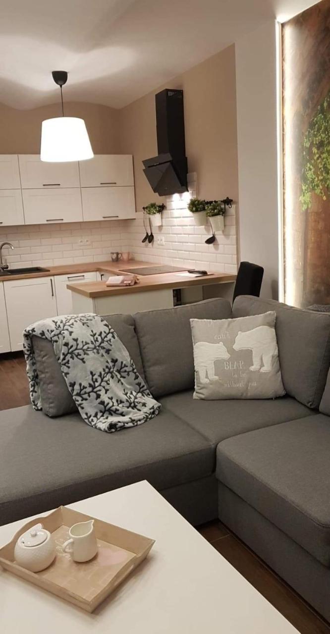 Apartament Malinowa Dolina Клодзько Екстер'єр фото